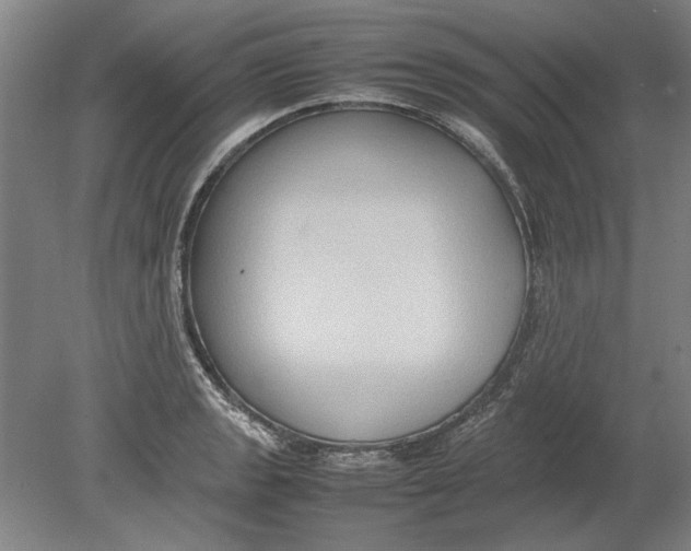 X0000080751133200701051203