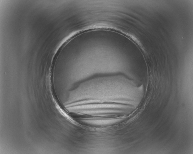 X0000080751134200701051203