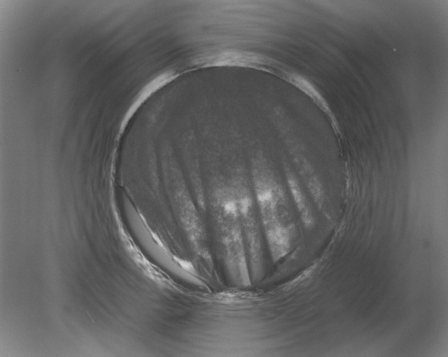 X0000080751138200701051203