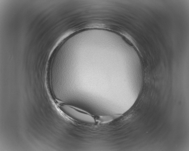 X0000080751139200701051203