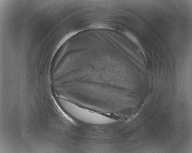 X0000080751141200701051204