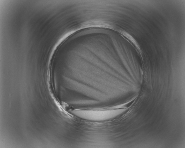 X0000080751144200701051204