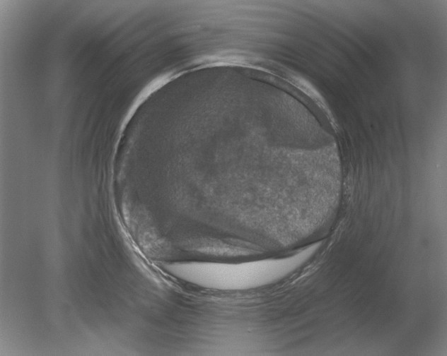 X0000080751146200701051204