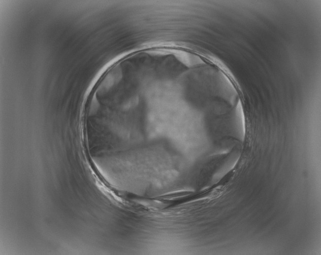 X0000080751148200701051204