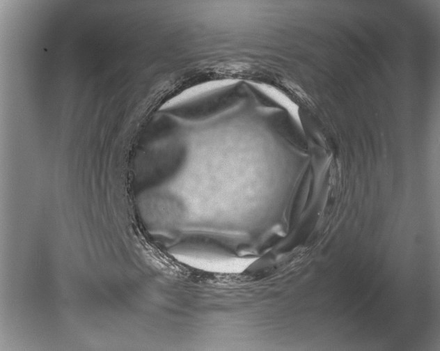 X0000080751153200701051203