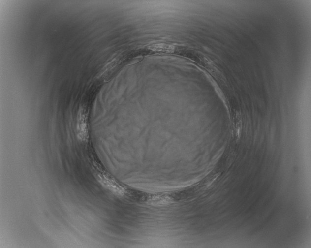 X0000080751154200701051203