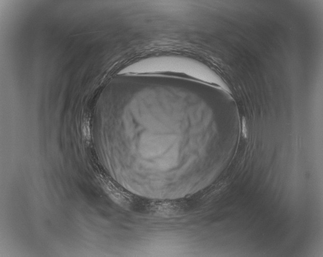 X0000080751155200701051203