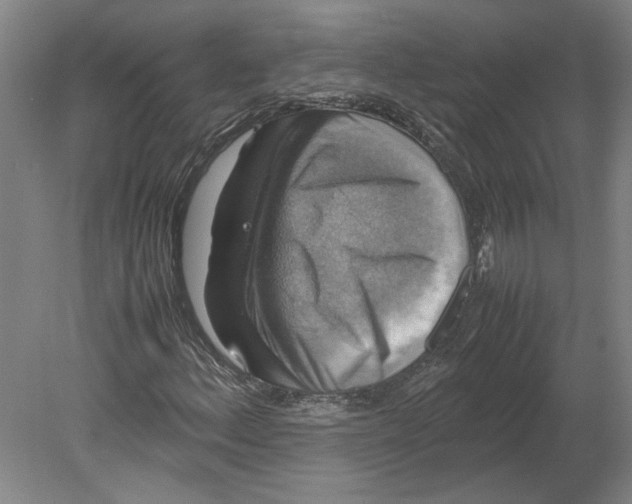 X0000080751156200701051203