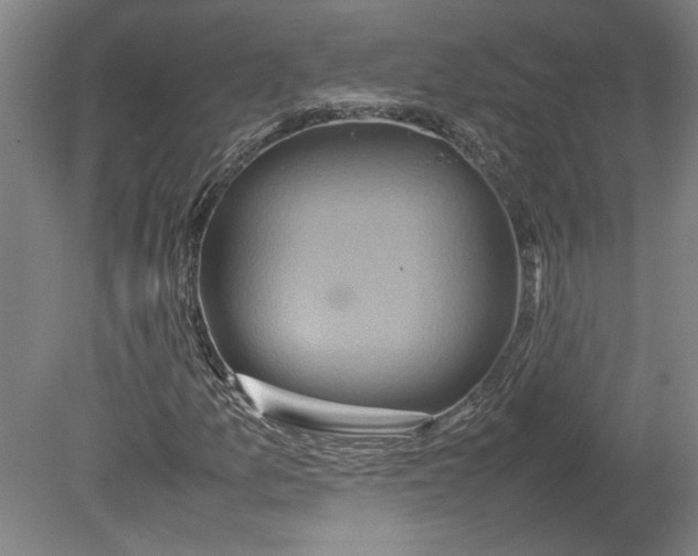 X0000080751157200701051203