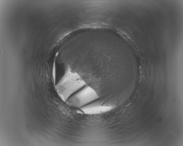 X0000080751158200701051203