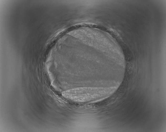 X0000080751159200701051203