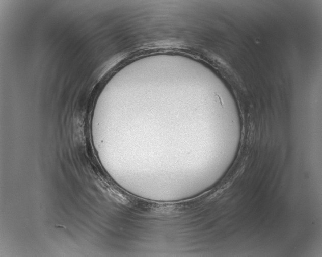 X0000080751162200701051203