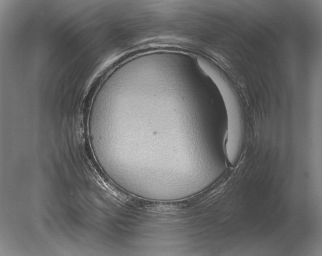 X0000080751164200701051203