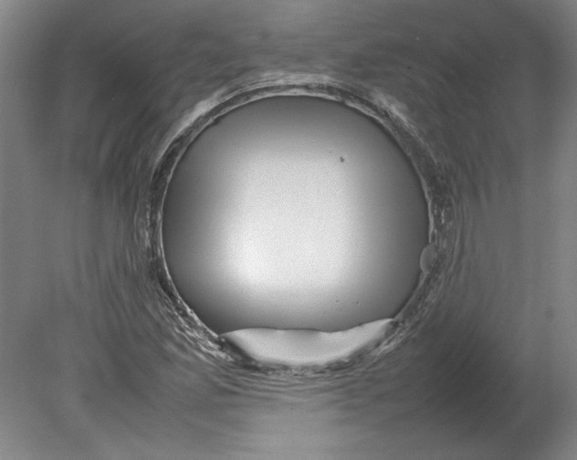X0000080751165200701051203
