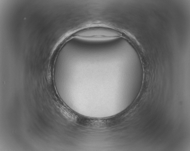 X0000080751167200701051203