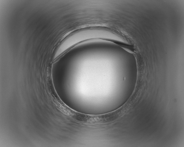 X0000080751169200701051203