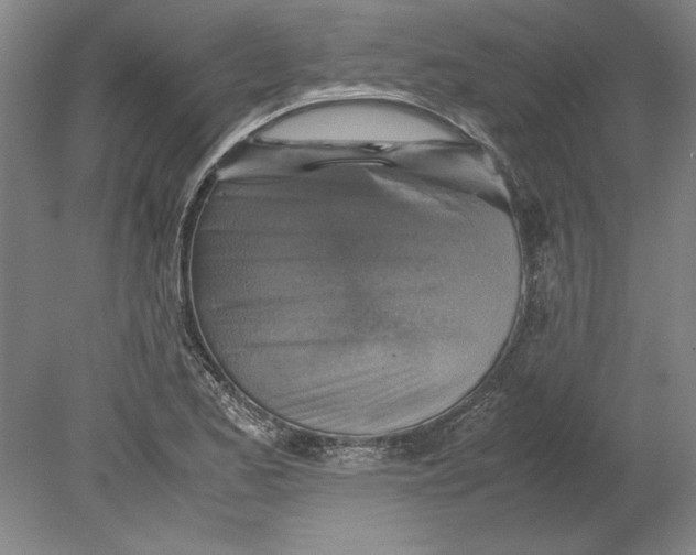 X0000080751173200701051203