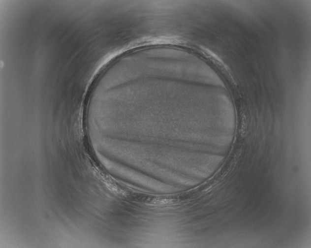 X0000080751174200701051203