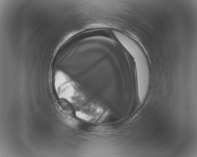 X0000080751179200701051202