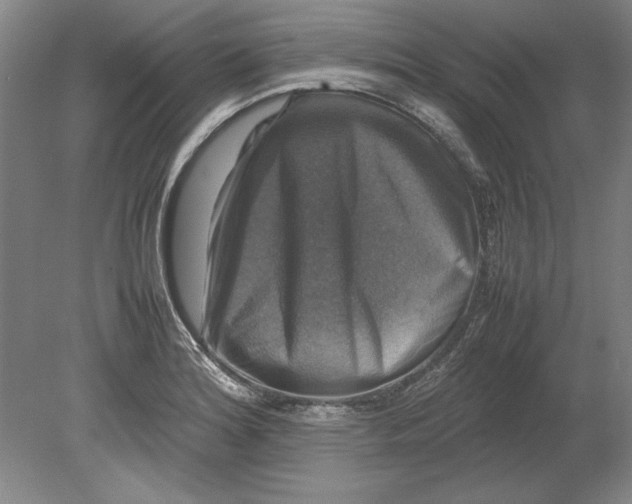 X0000080751180200701051202