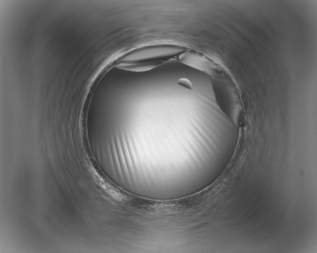X0000080751181200701051202