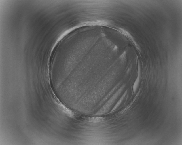 X0000080751184200701051202