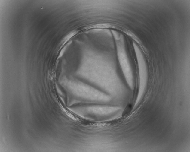 X0000080751193200701051202