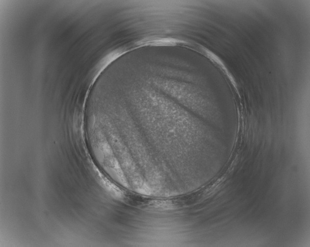 X0000080751194200701051202