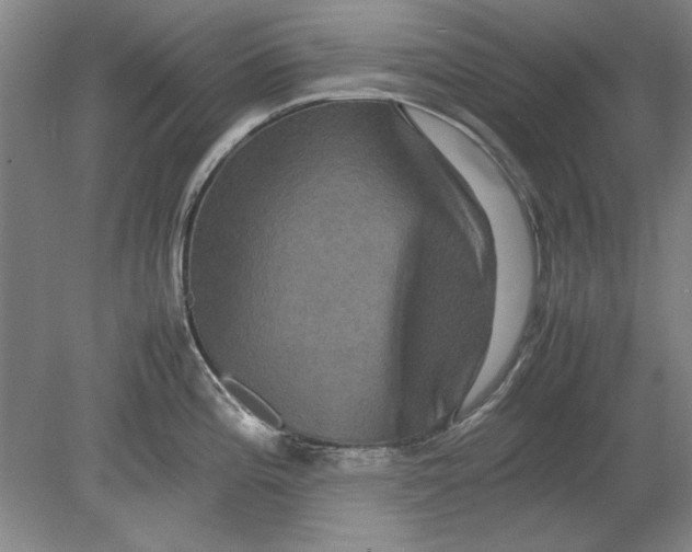 X0000080751196200701051202