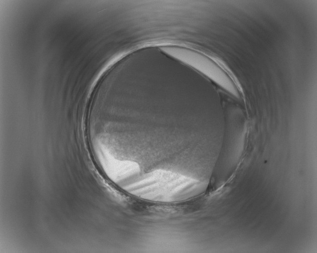 X0000080751197200701051202