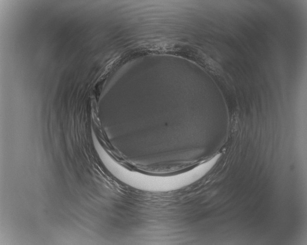 X0000080751202200701051201
