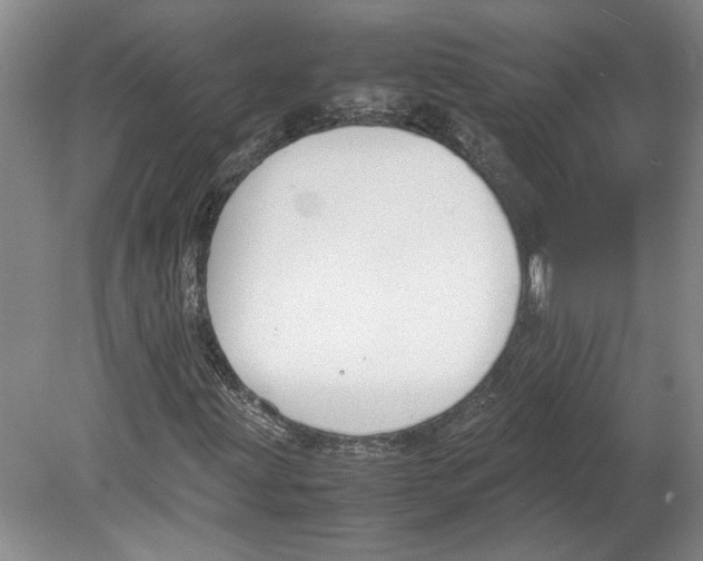 X0000080751203200701051201