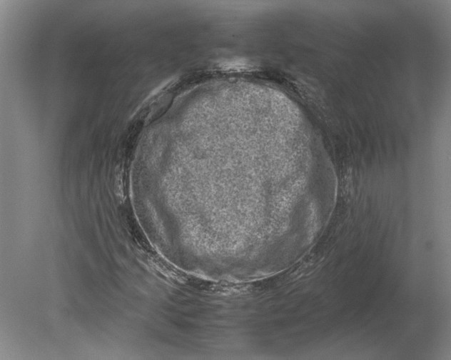 X0000080751205200701051201