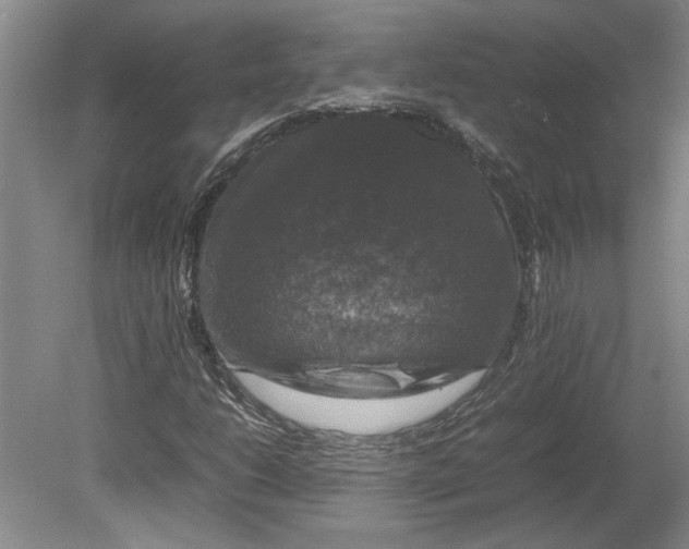 X0000080751206200701051201