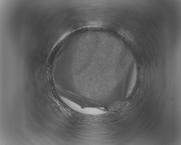 X0000080751208200701051201