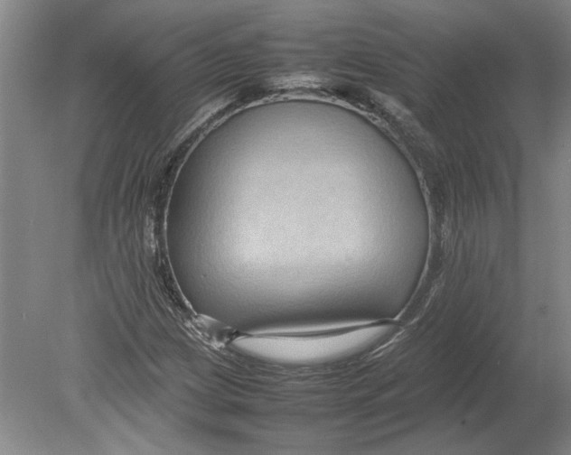 X0000080751209200701051201
