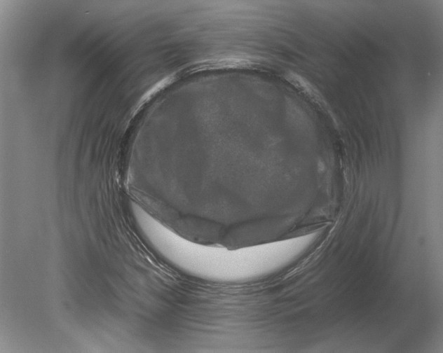 X0000080751210200701051201
