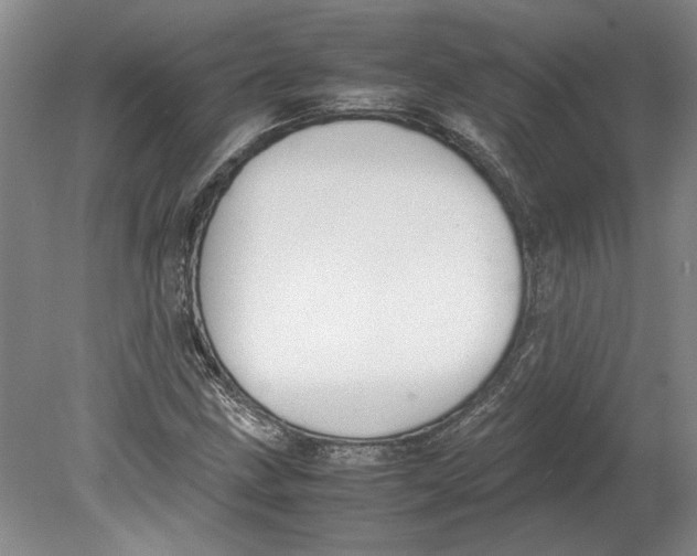 X0000080751211200701051201