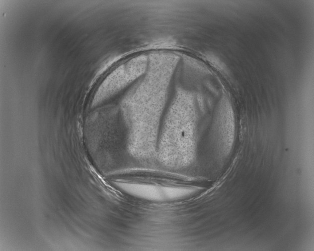 X0000080751212200701051201