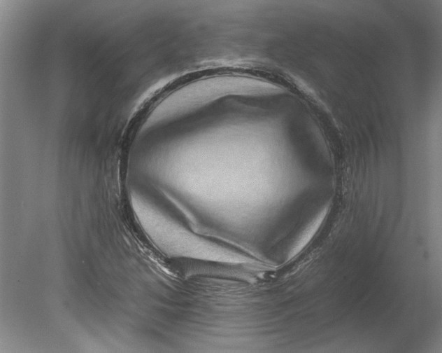 X0000080751214200701051202