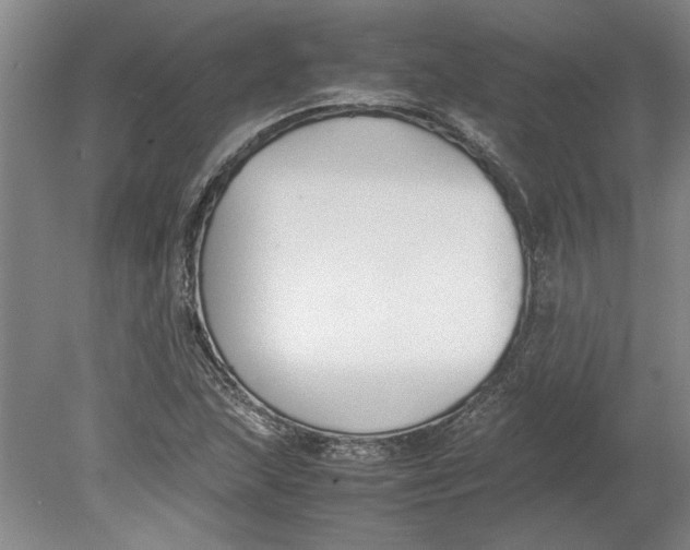 X0000080751215200701051202