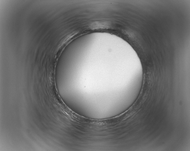 X0000080751217200701051202