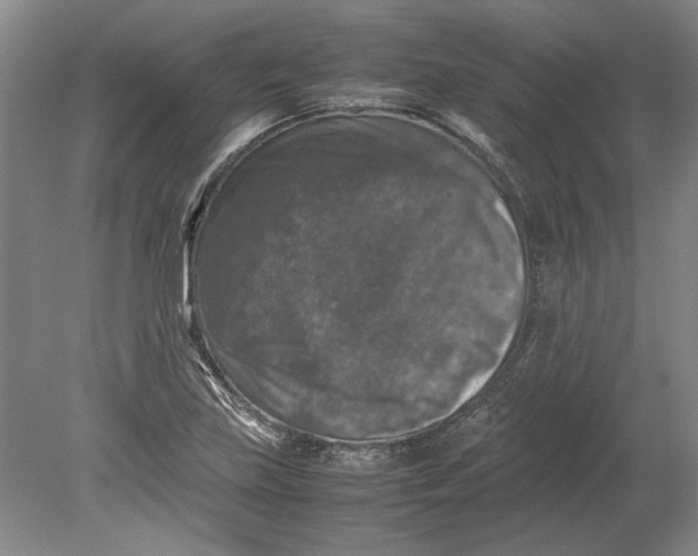 X0000080751219200701051202