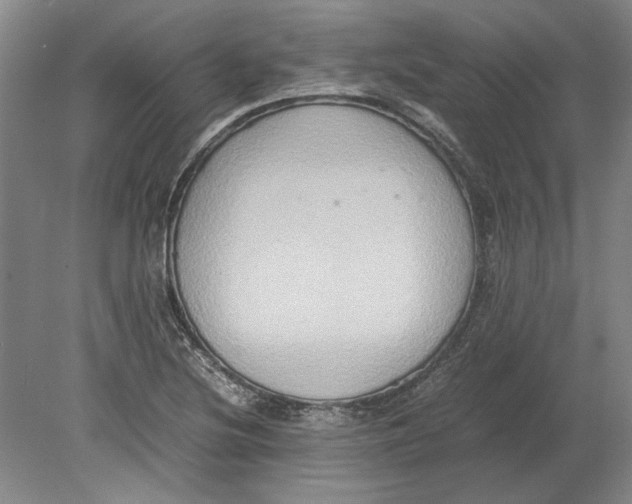 X0000080751220200701051202