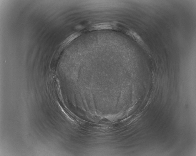 X0000080751225200701051202
