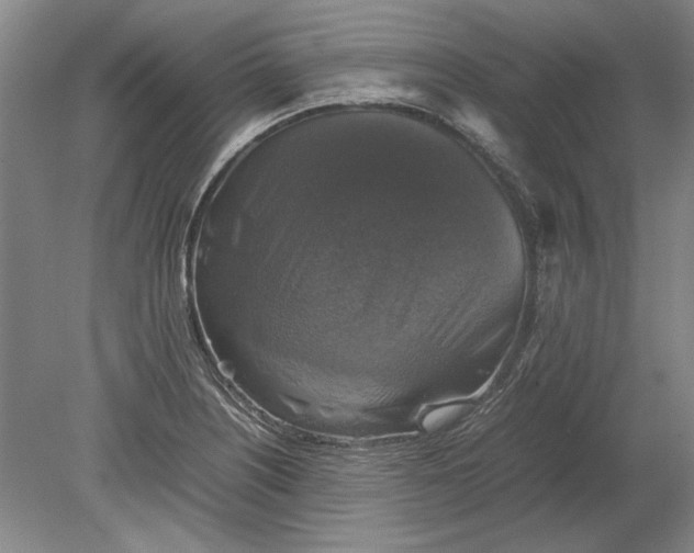 X0000080751226200701051202