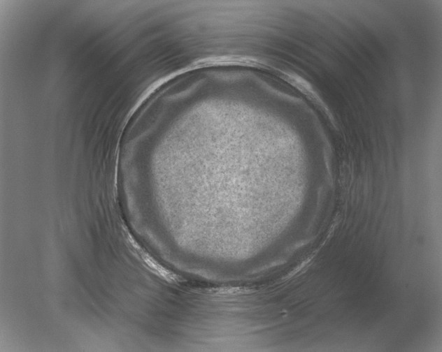X0000080751228200701051202
