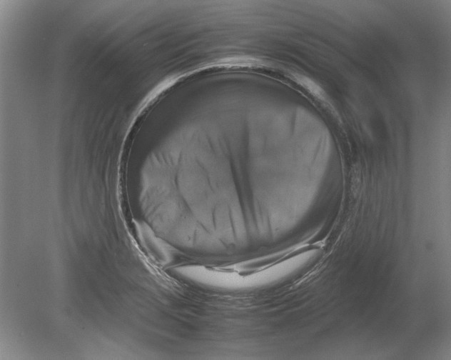 X0000080751229200701051202