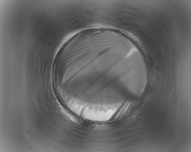X0000080751231200701051202