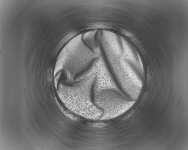 X0000080751233200701051202